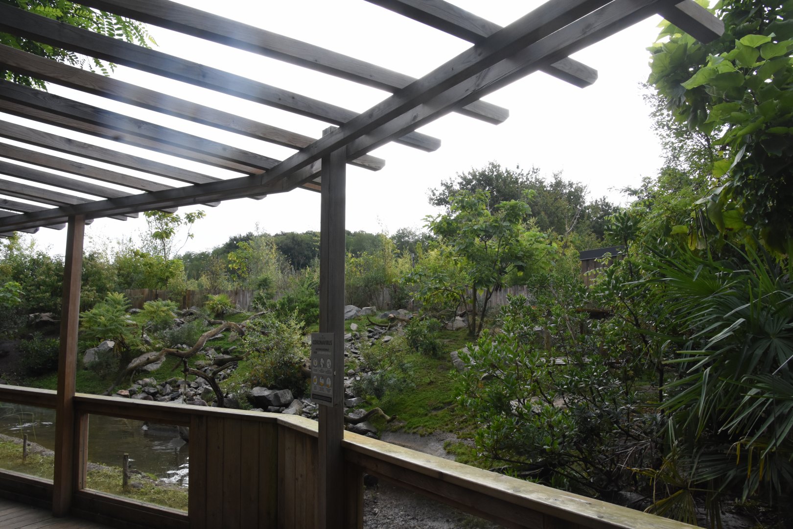 Smooth-coated Otter enclosure