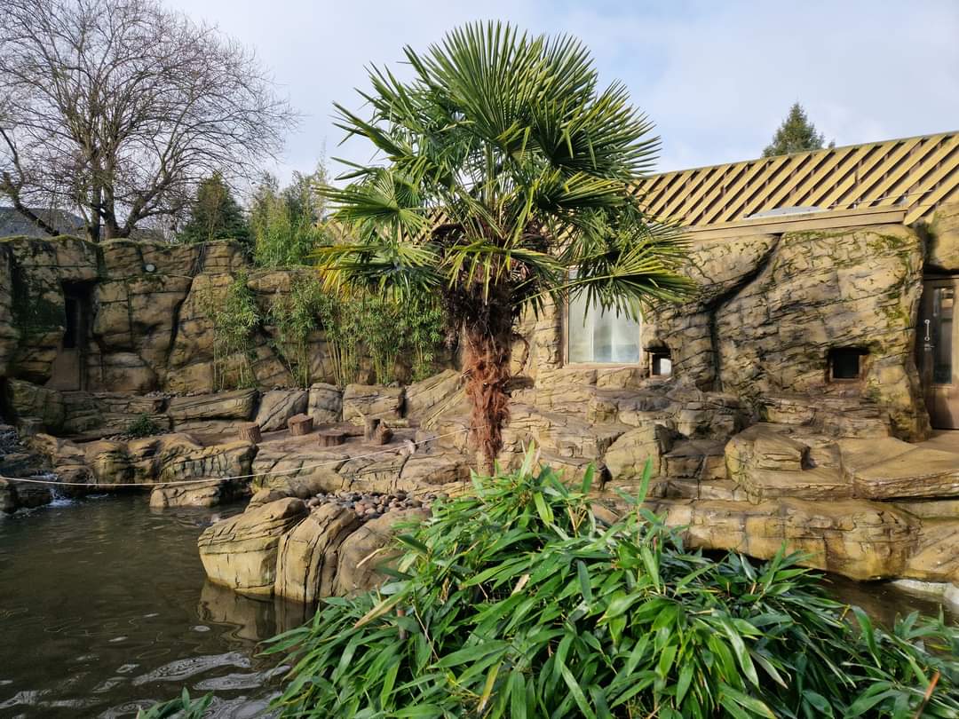 Smooth-coated Otter exhibit