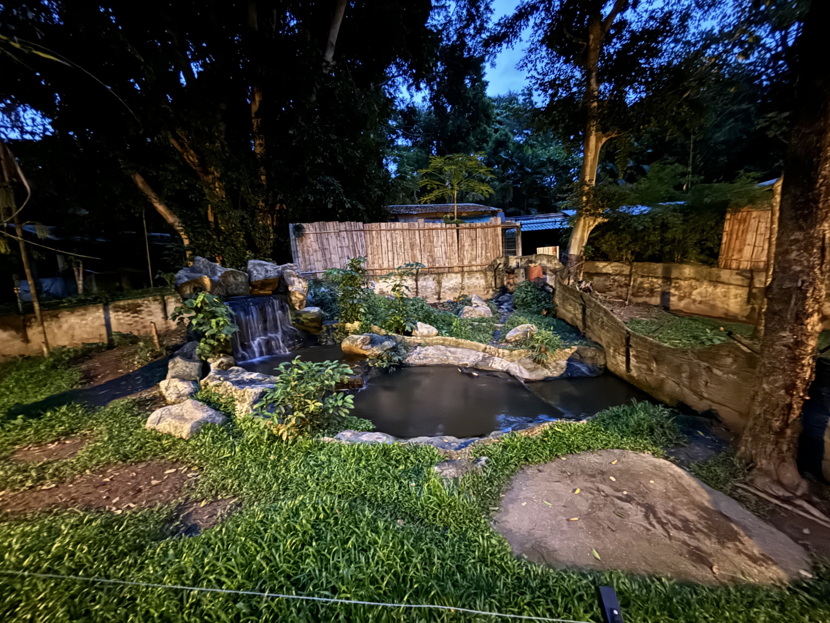 Smooth-coated Otter Exhibit