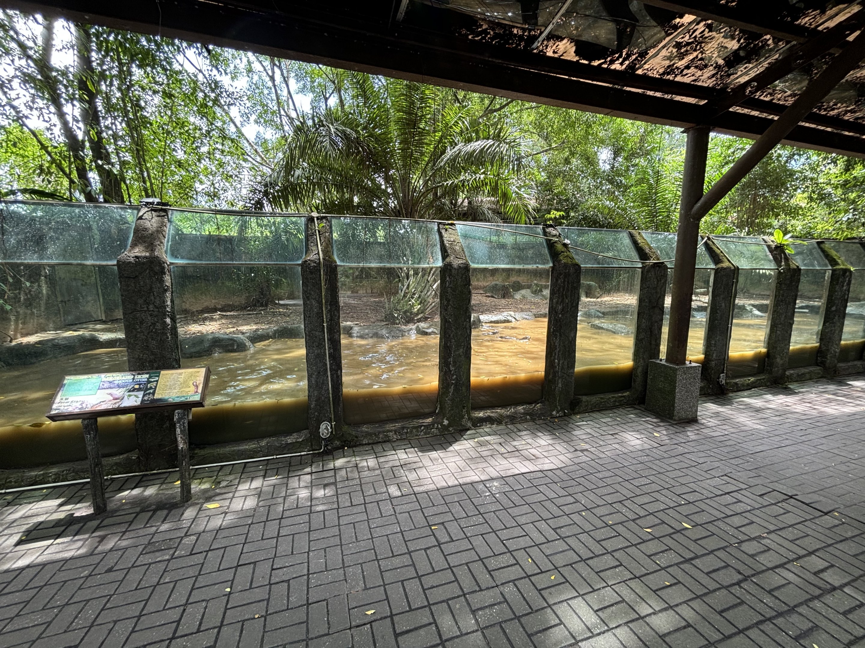 Smooth-coated Otter Exhibit