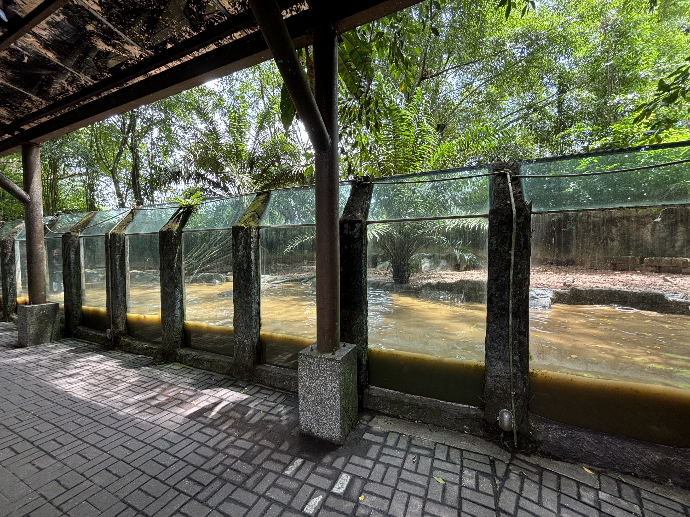 Smooth-coated Otter Exhibit
