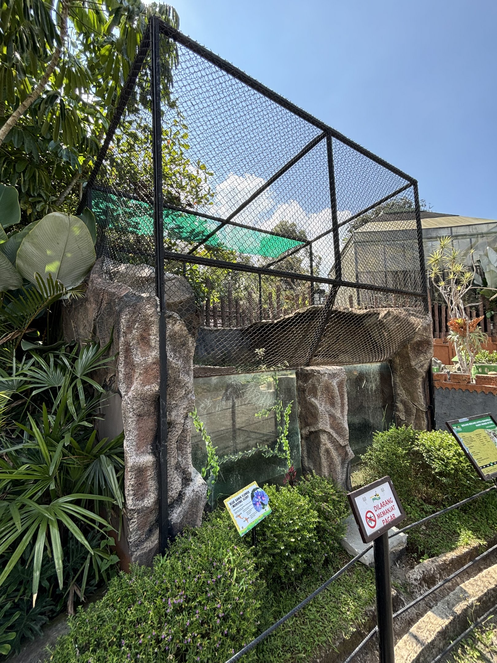 Smooth-coated Otter Exhibit