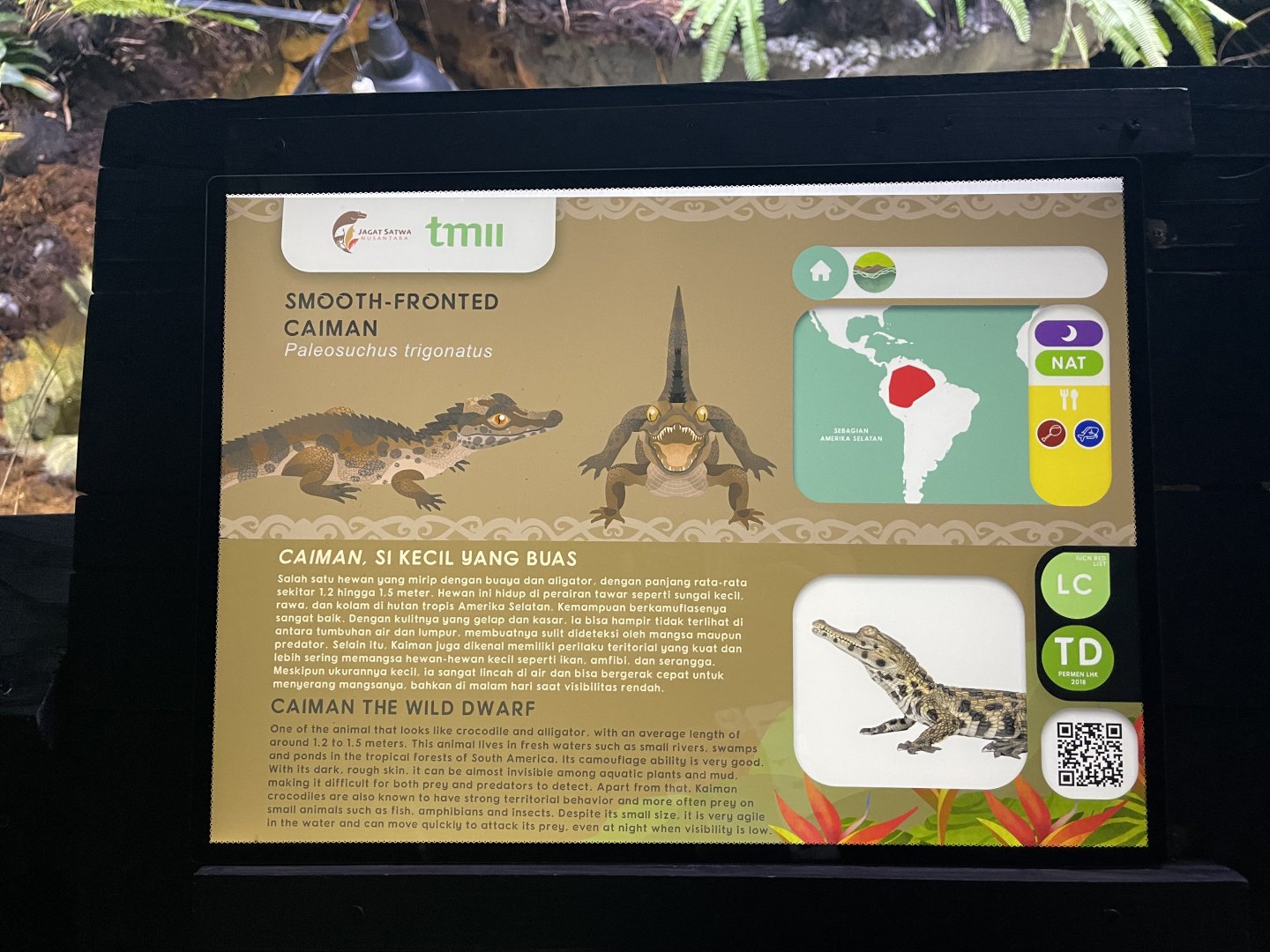 smooth-fronted caiman signage (1) - dunia air tawar