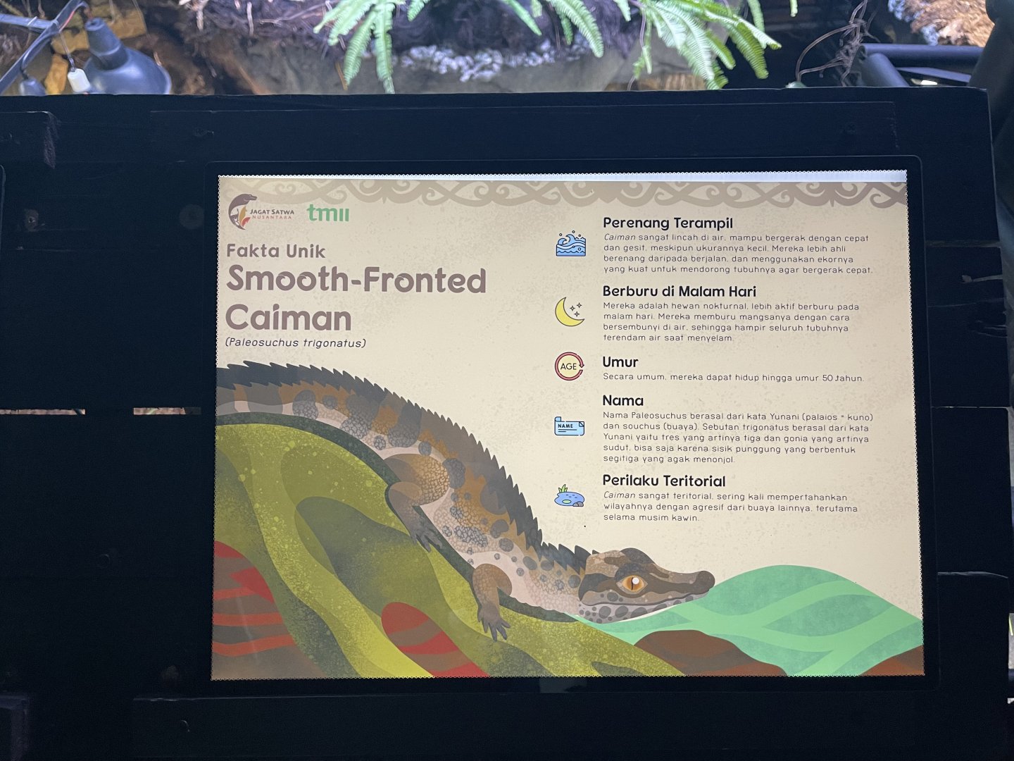 smooth-fronted caiman signage (2)