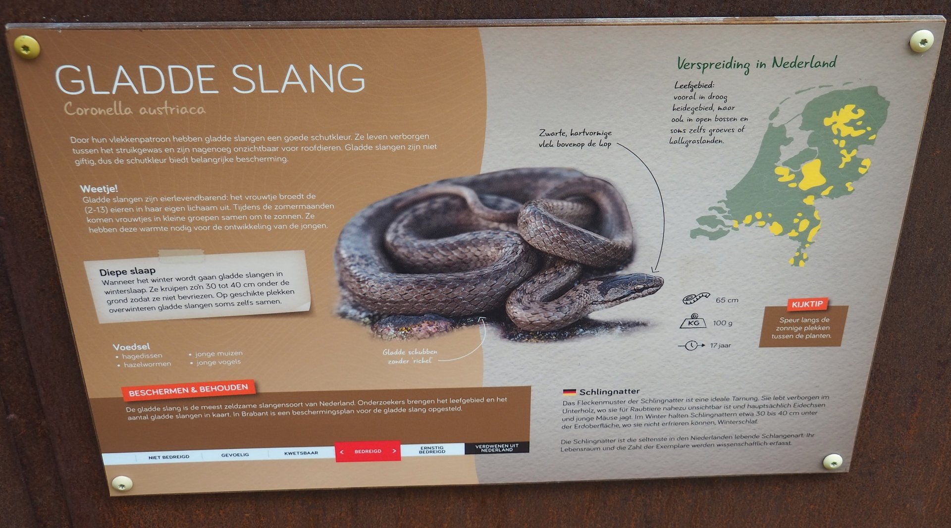 Smooth snake signage, 2023-07-18