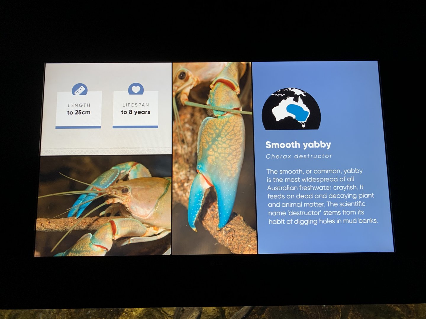Smooth Yabby Information Display