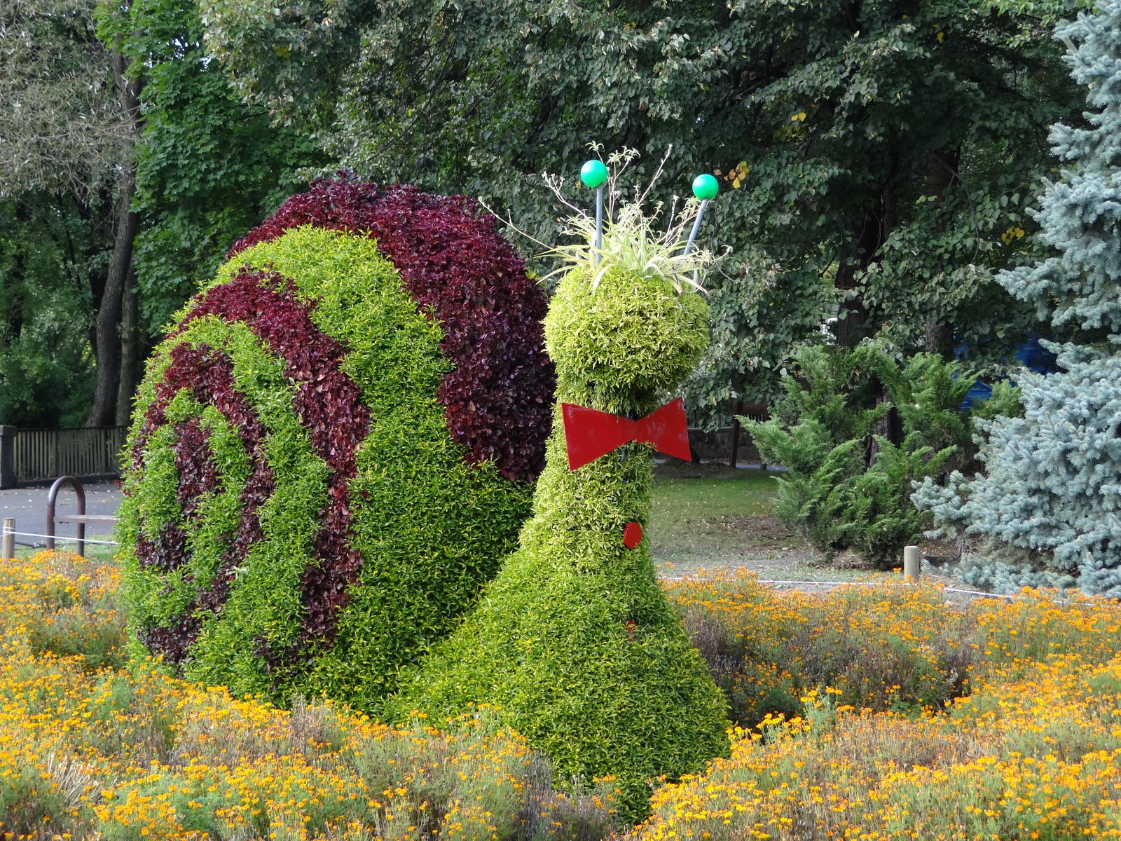 Snail (unknown species)