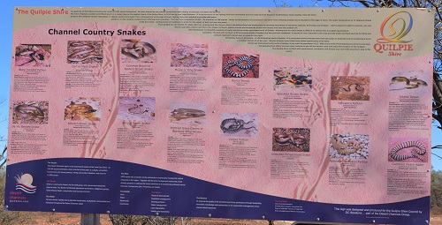 Snake advisory sign.  Q'ld