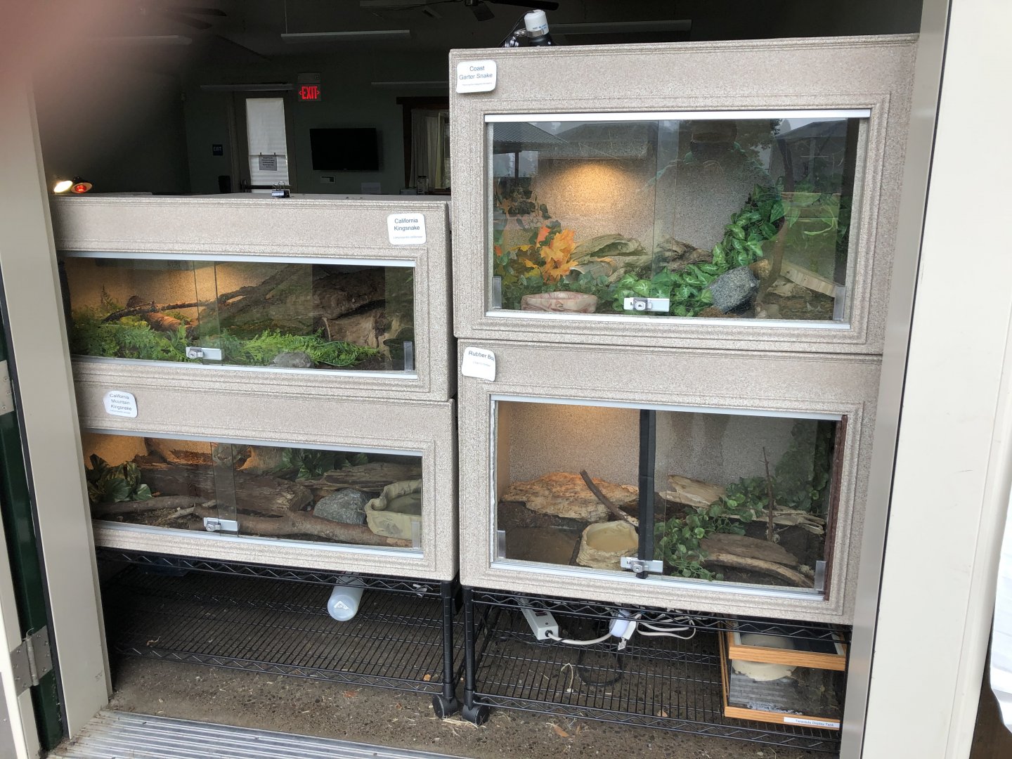 Snake and tarantula exhibits