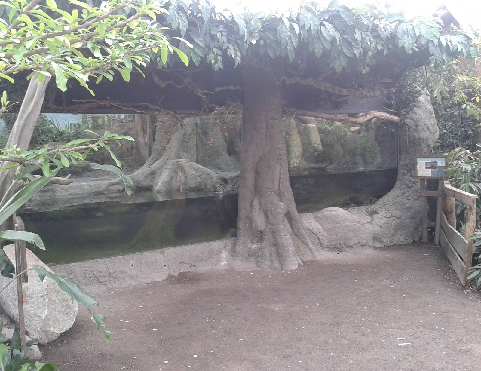 Snake and turtle enclosures in Amazonica