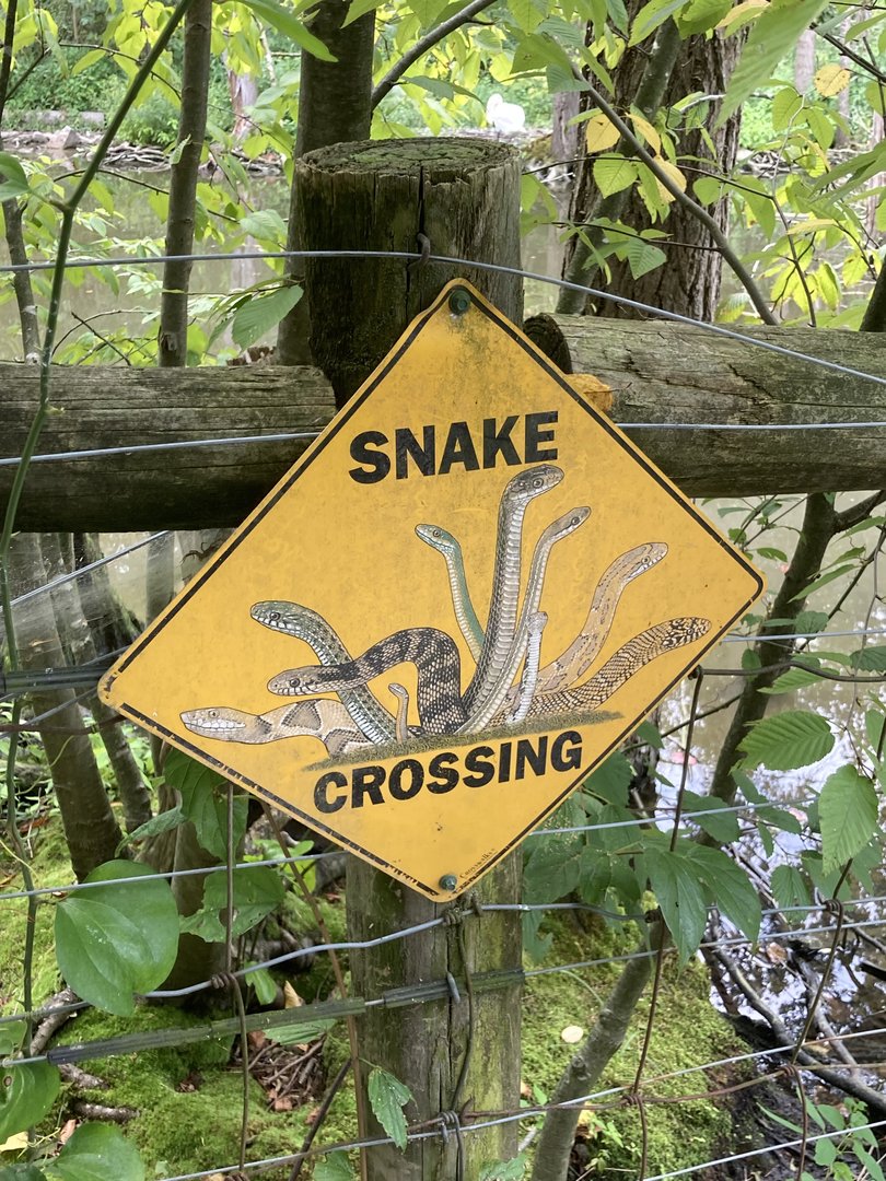 Snake Crossing (animal crossing signs were everywhere)