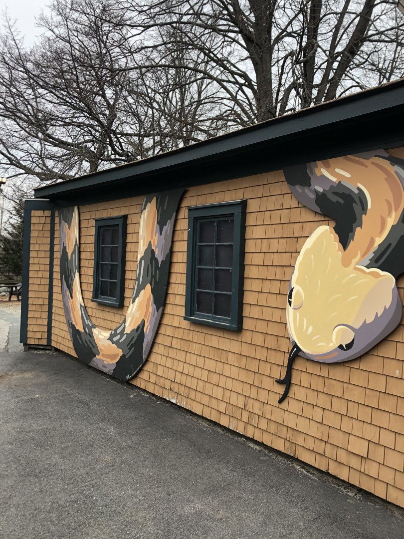 Snake Den Side View - Feb, 2020