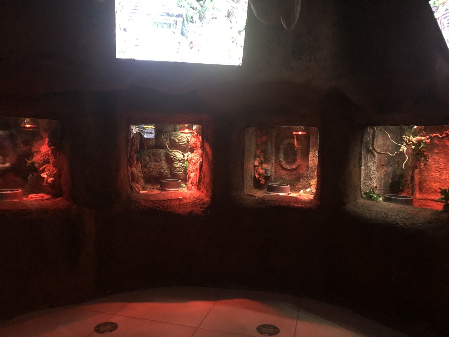 Snake Displays at ViaSea Aquarium