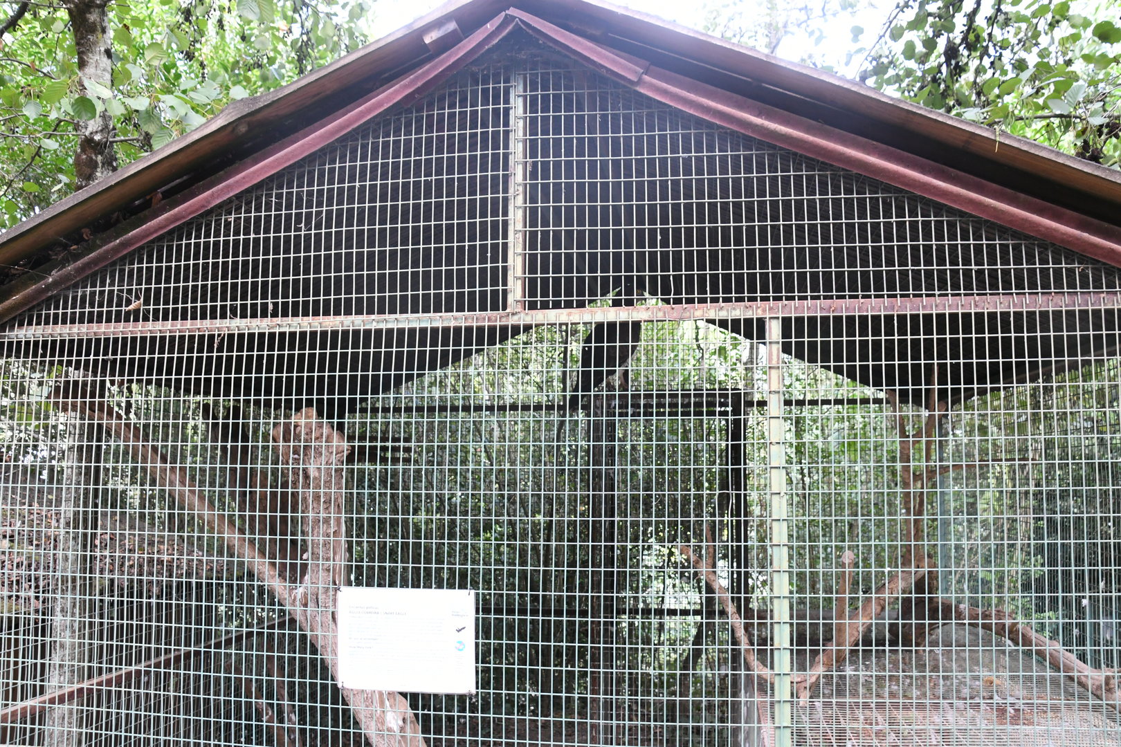 Snake-Eagle cage