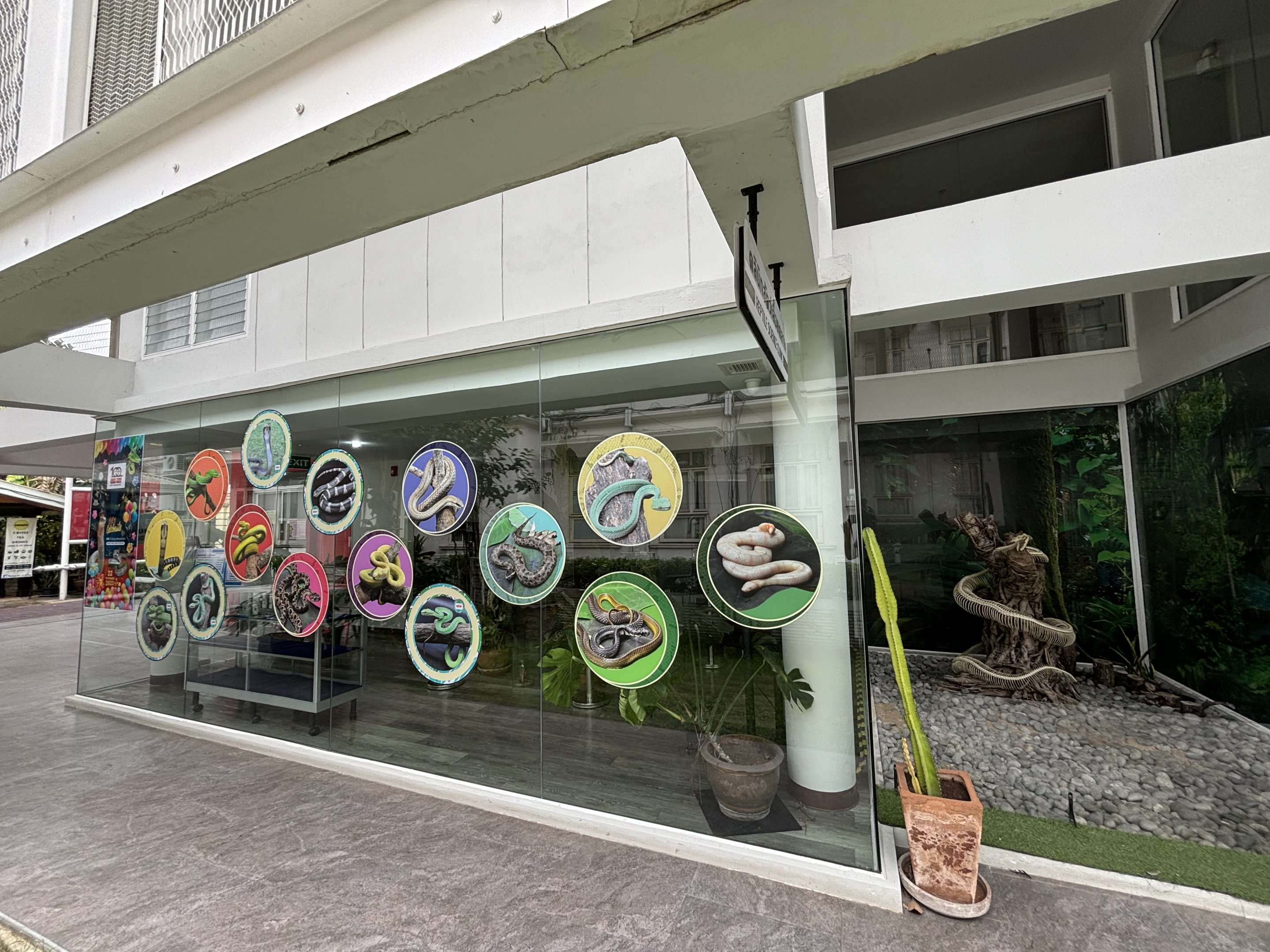 Snake Educational Room