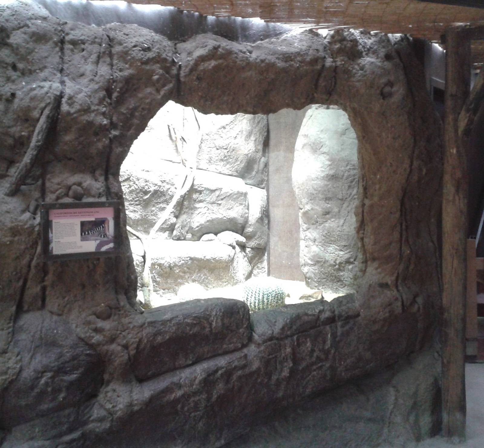 Snake enclosure in the Ocean