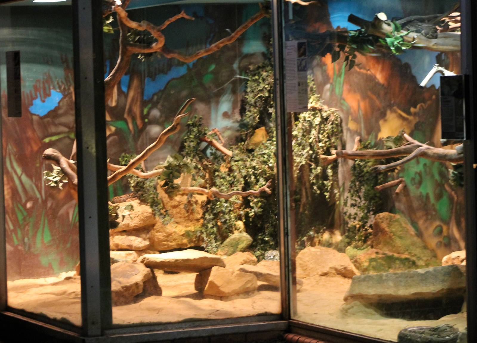 Snake enclosure
