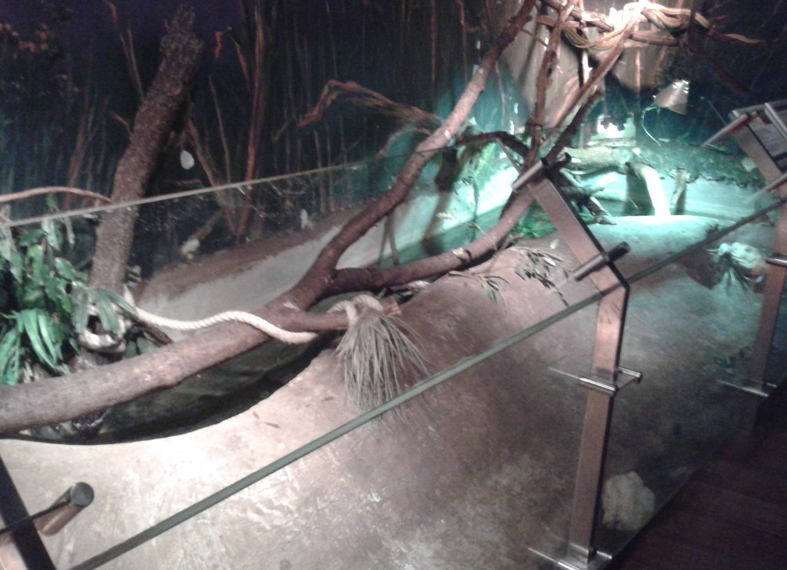 Snake enclosure