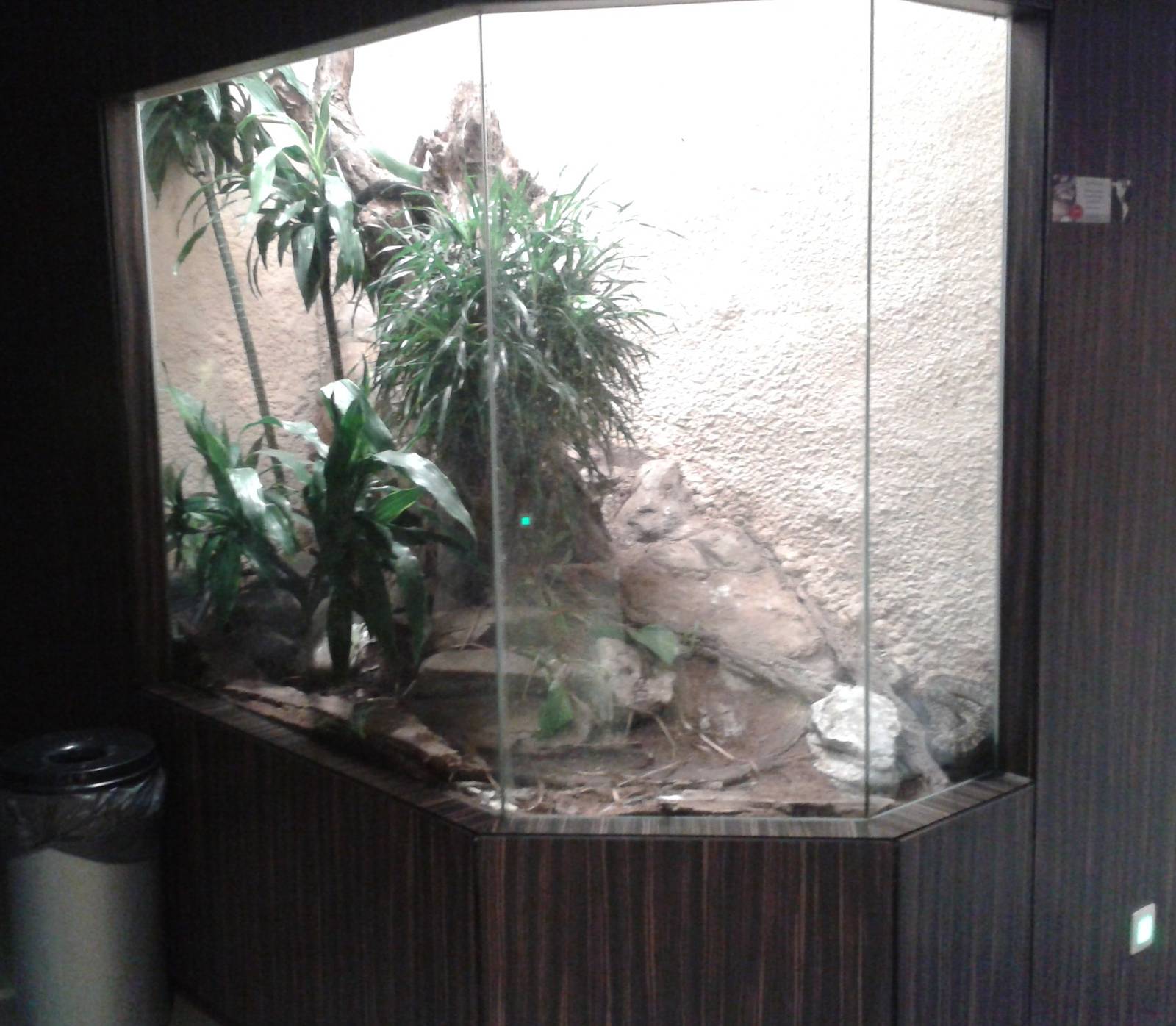 Snake enclosure