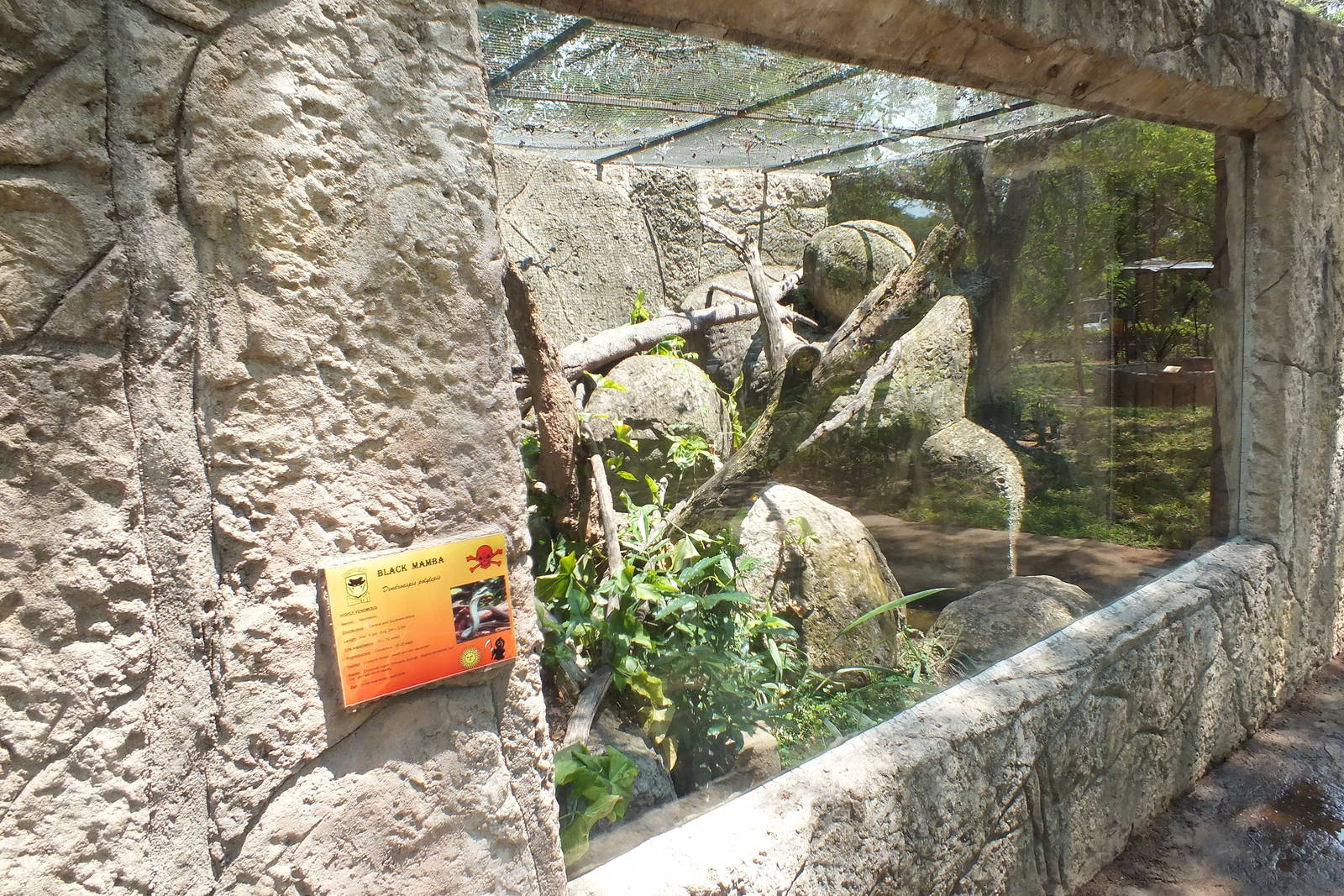 Snake Enclosure