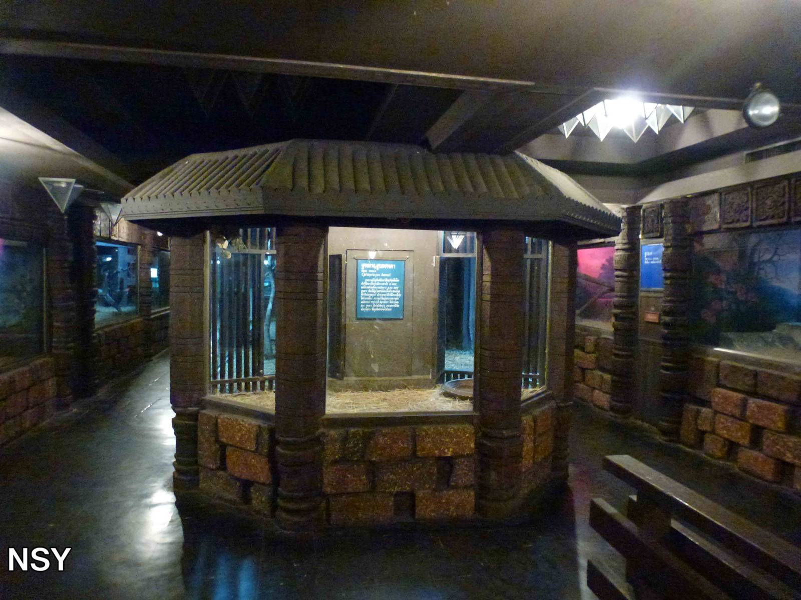 Snake enclosures, June 2013.