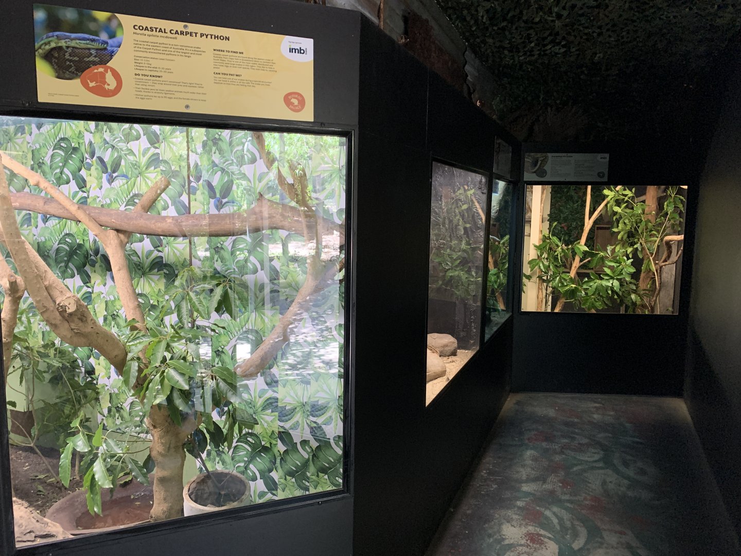 Snake Enclosures (Potoroo Palace)