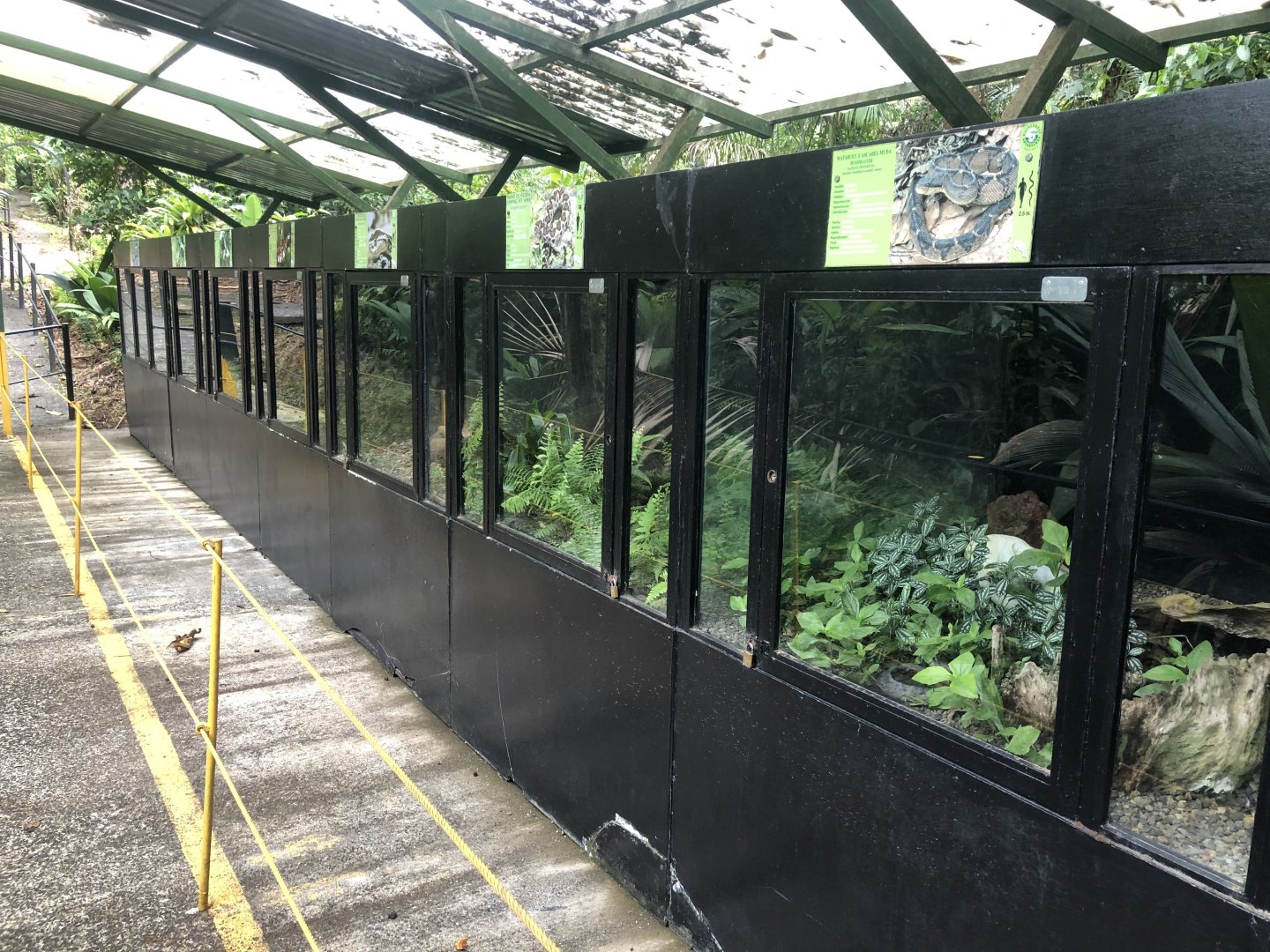 Snake Enclosures