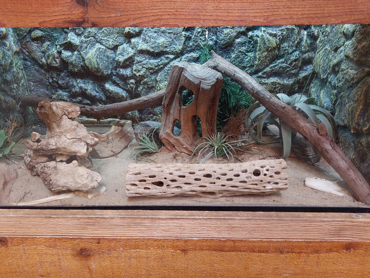Snake Exhibit Example