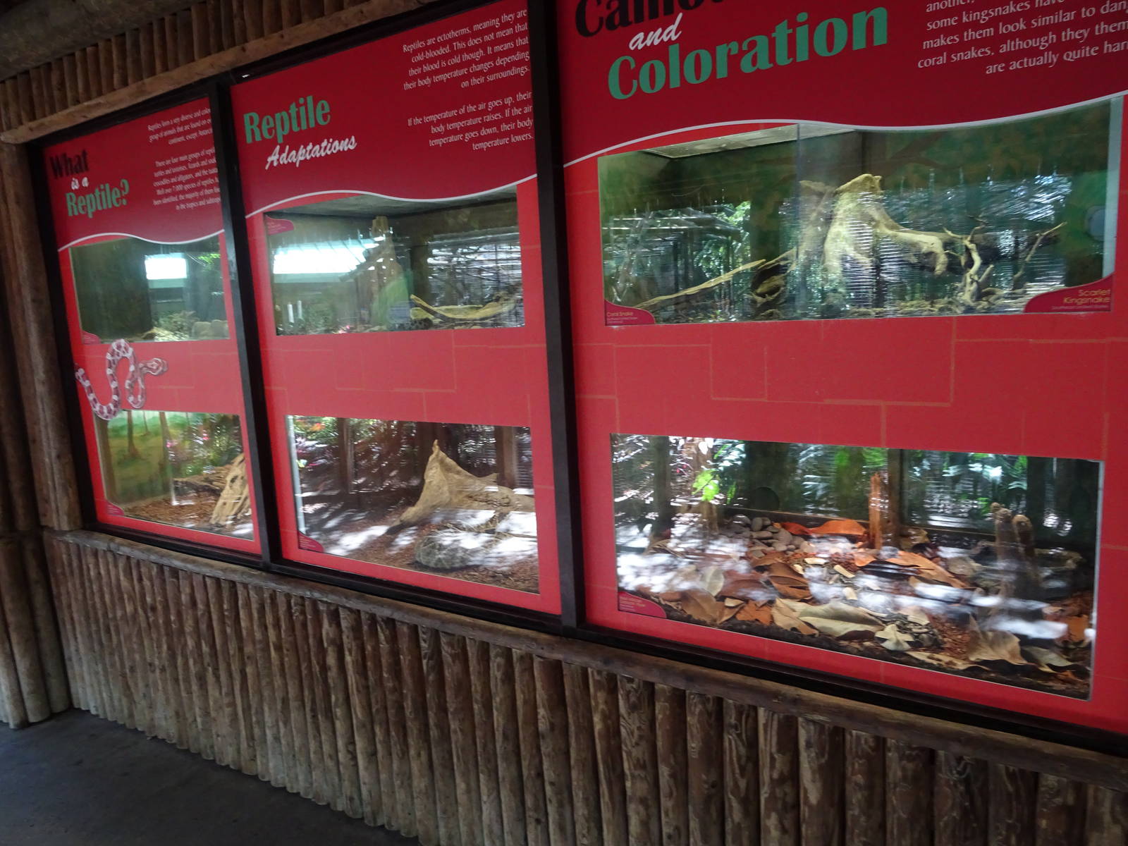Snake Exhibits at Busch Gardens Tampa