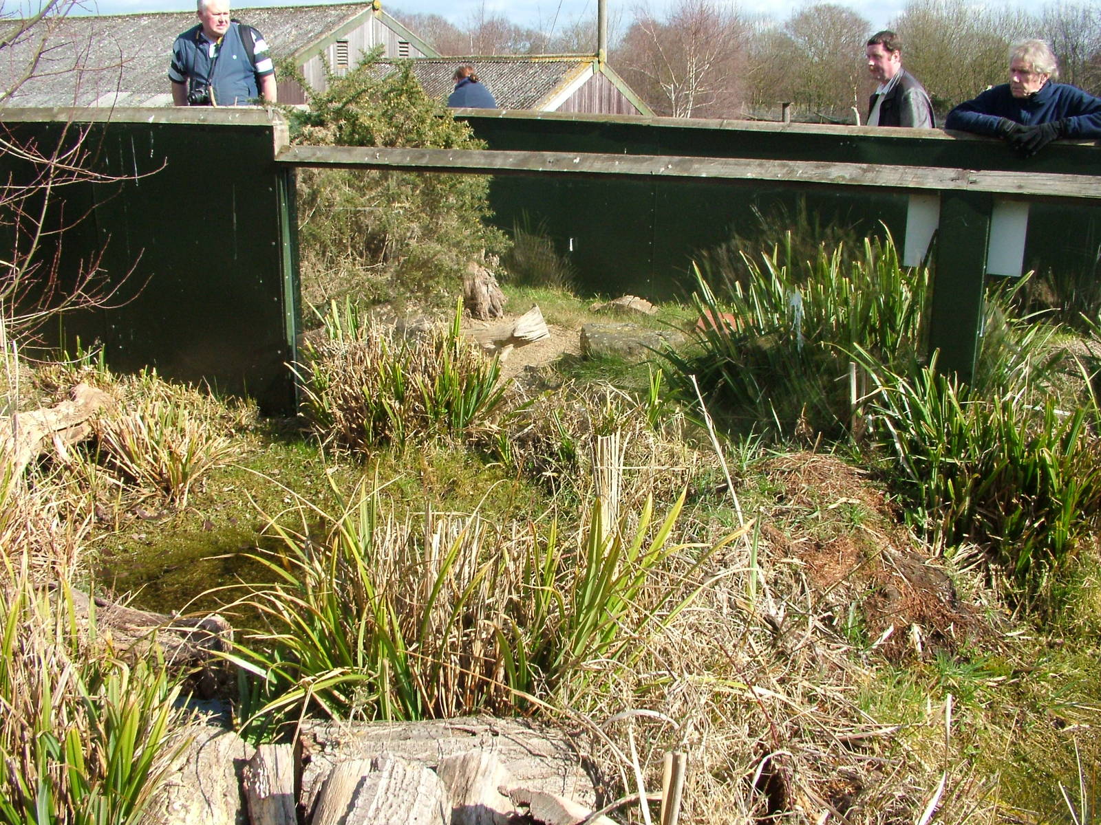 Snake exhibits at the British Wildlife Centre 14/03/10