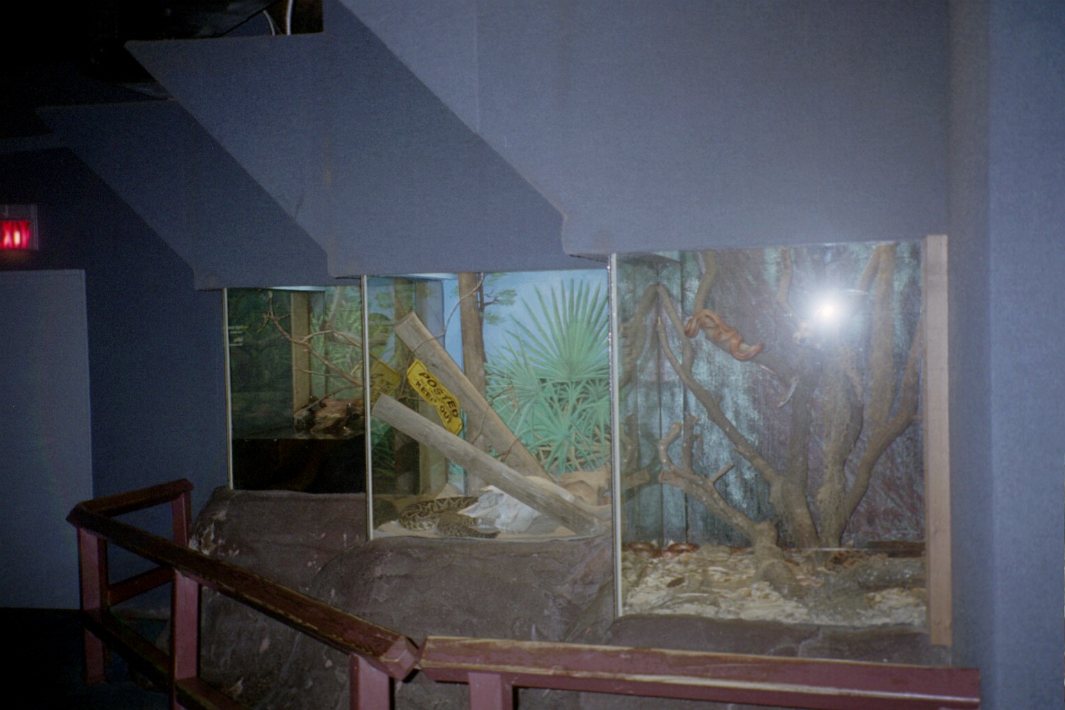 Snake Exhibits - Manatee and Aquatic Center