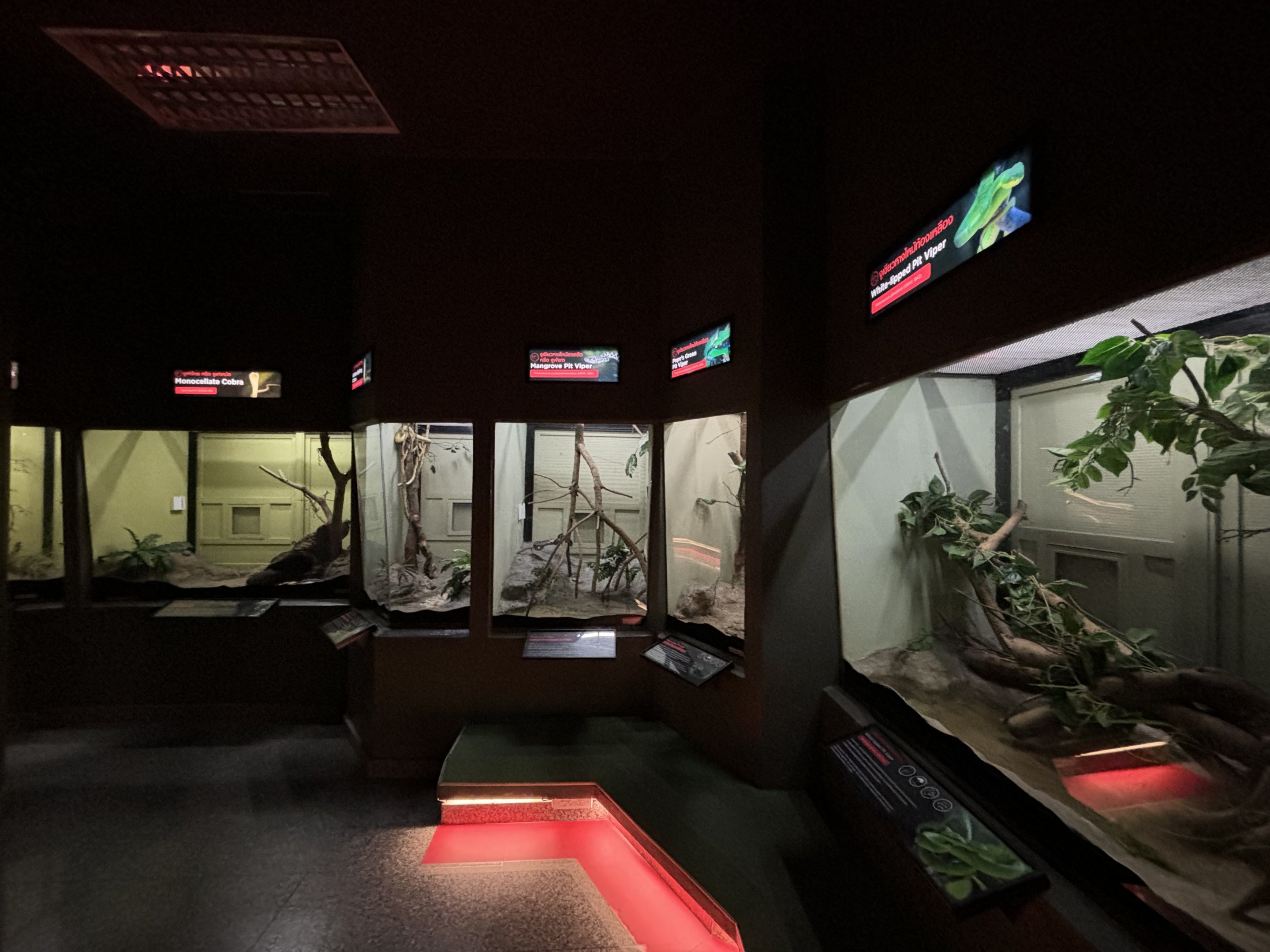 Snake Exhibits
