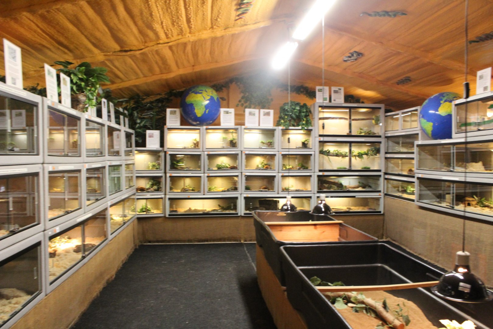 Snake Farm Overview - Mccarthy Wildlife Sanctuary