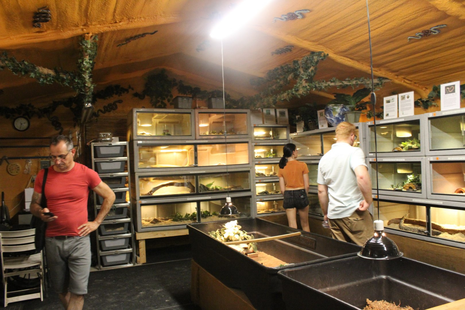 Snake Farm Overview - Mccarthy Wildlife Sanctuary