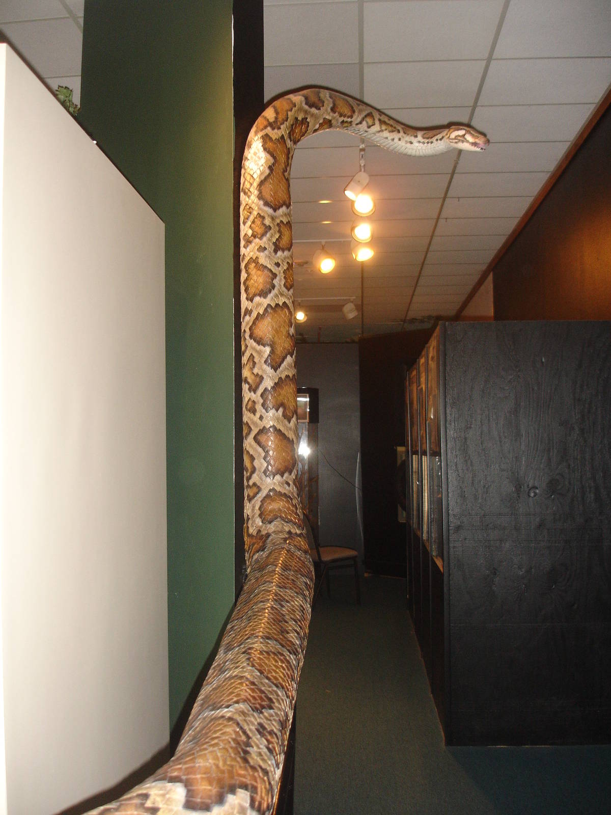 Snake handrail