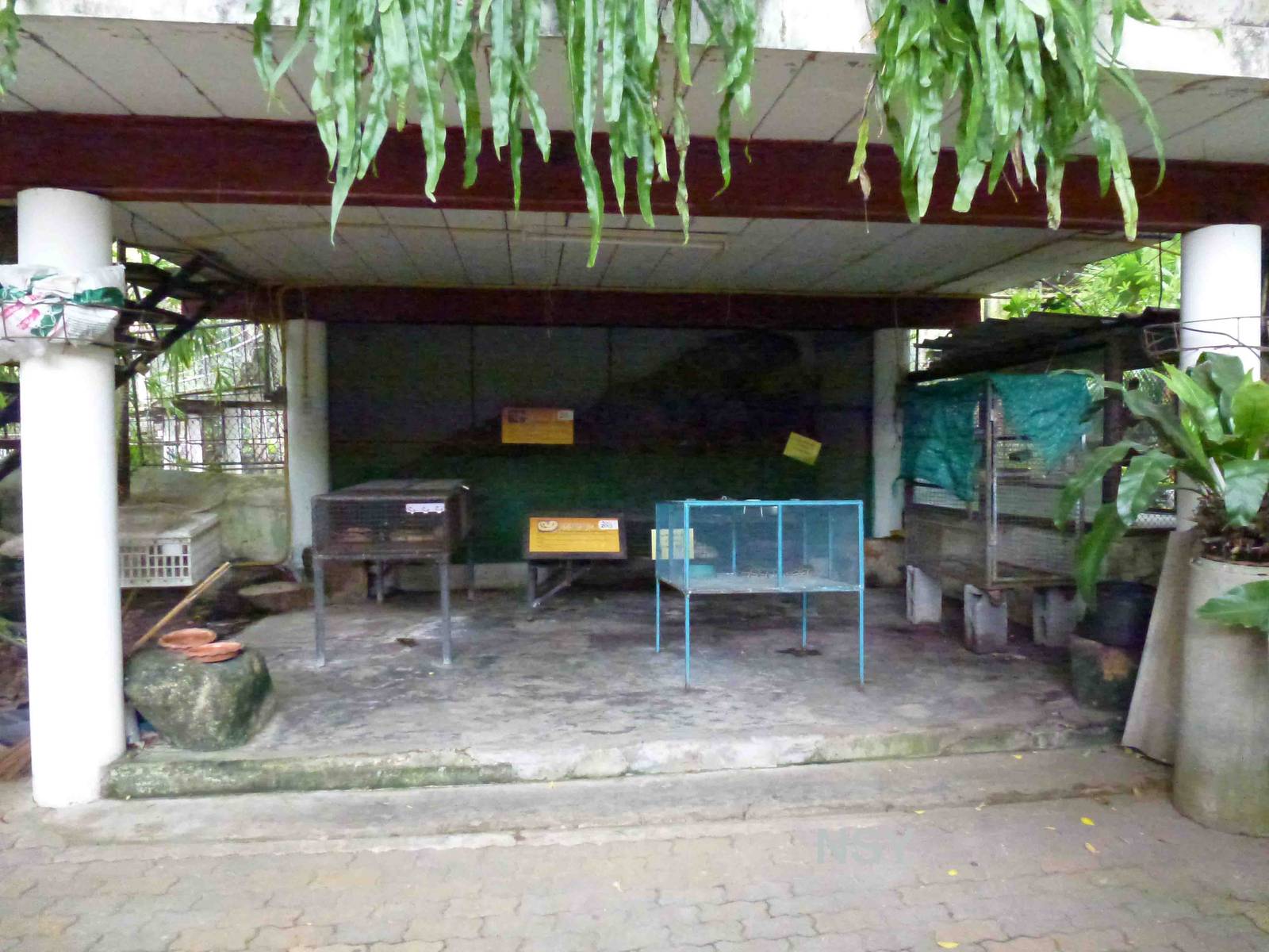 Snake holding enclosures - photo props, June 2013.