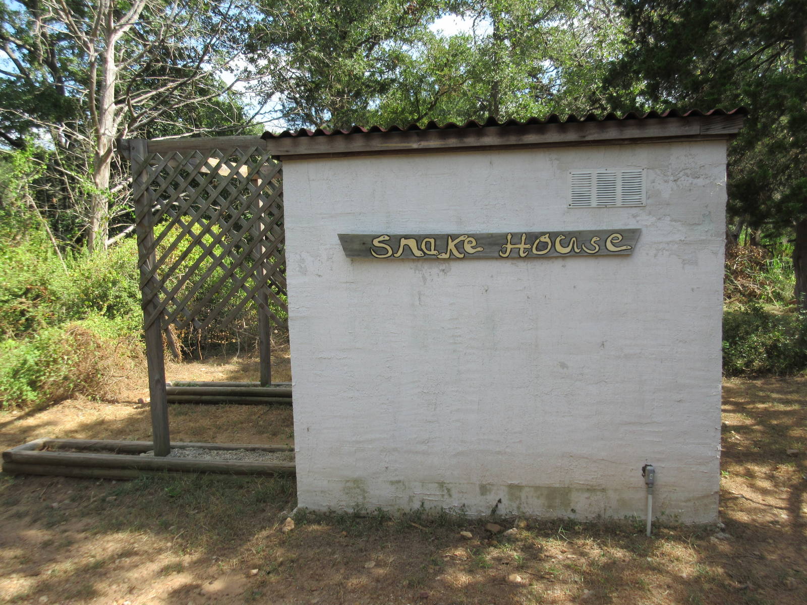 Snake House (a single albino Burmese Python)