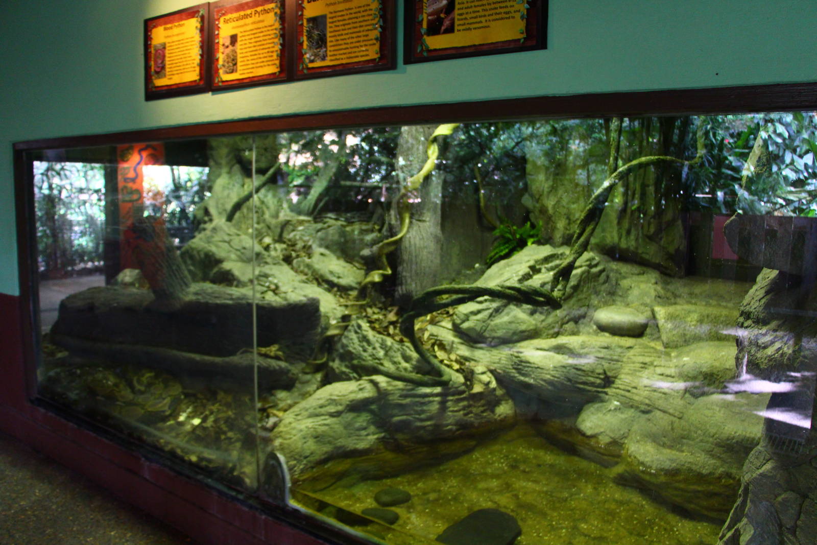 Snake House - Mixed exhibit