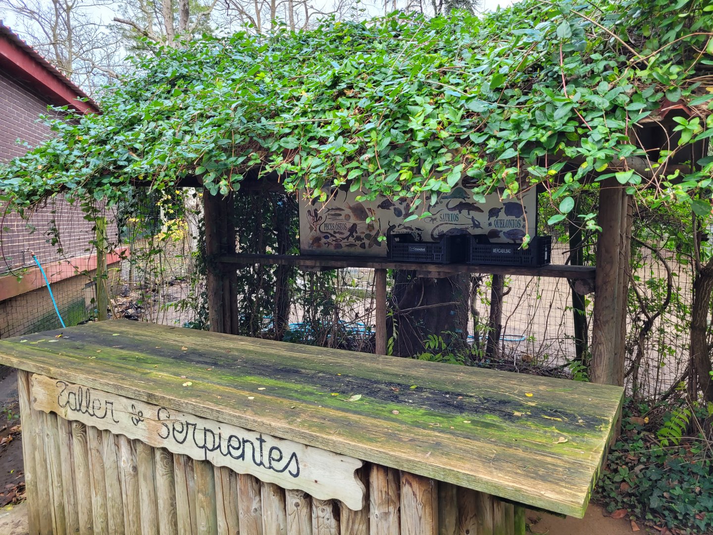 Snake interaction stand -Zoo de Santillana del Mar (2023)