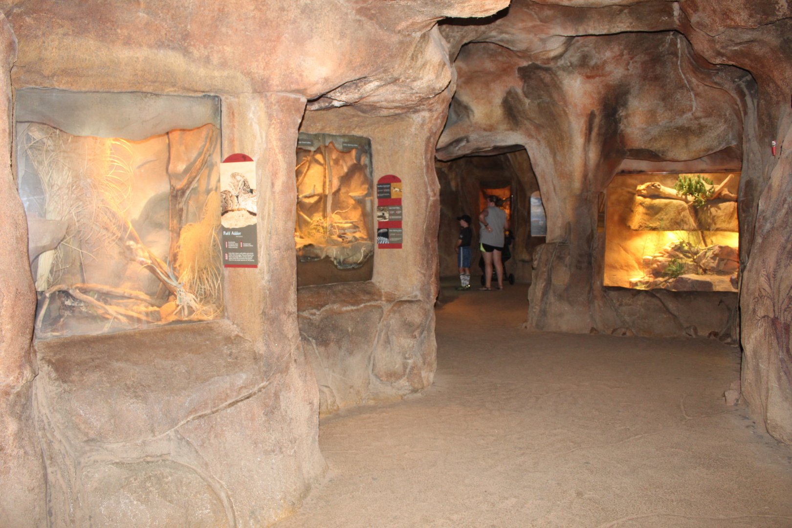 Snake & Lizard Exhibits. - Desert Dome