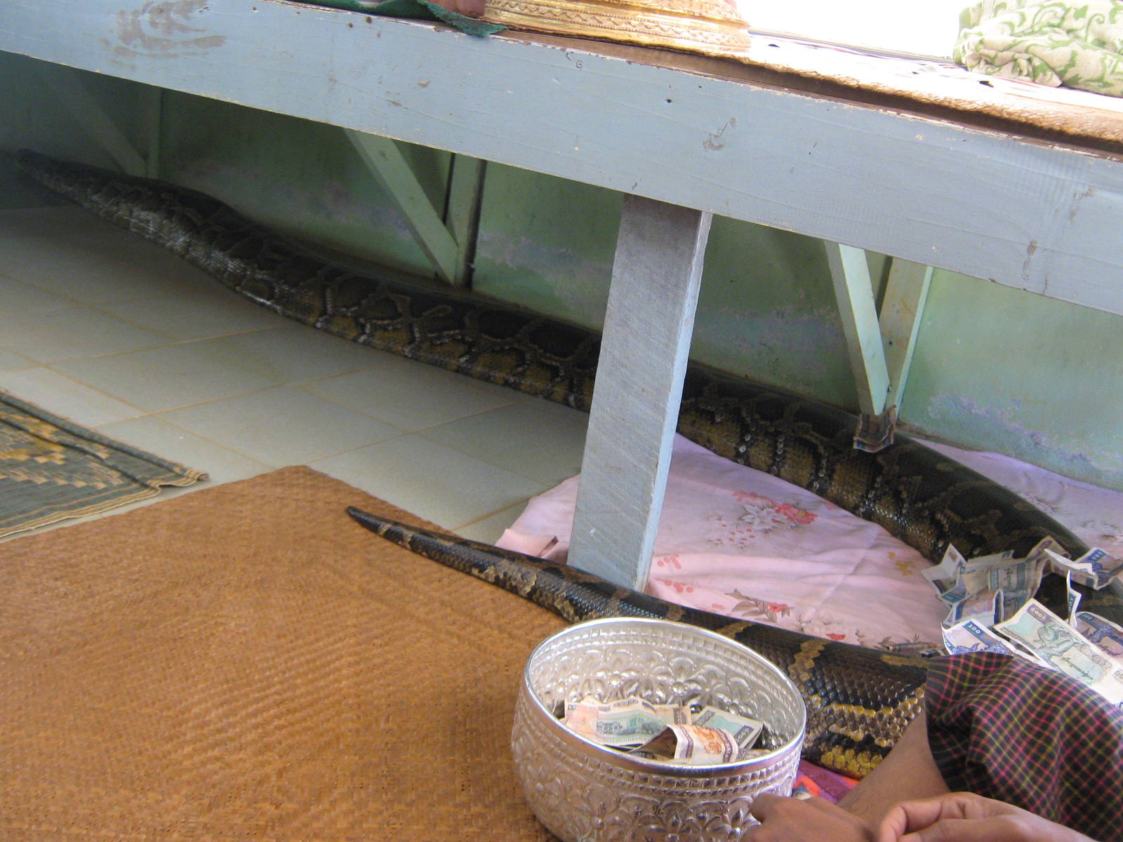 snake monastery in Bago
