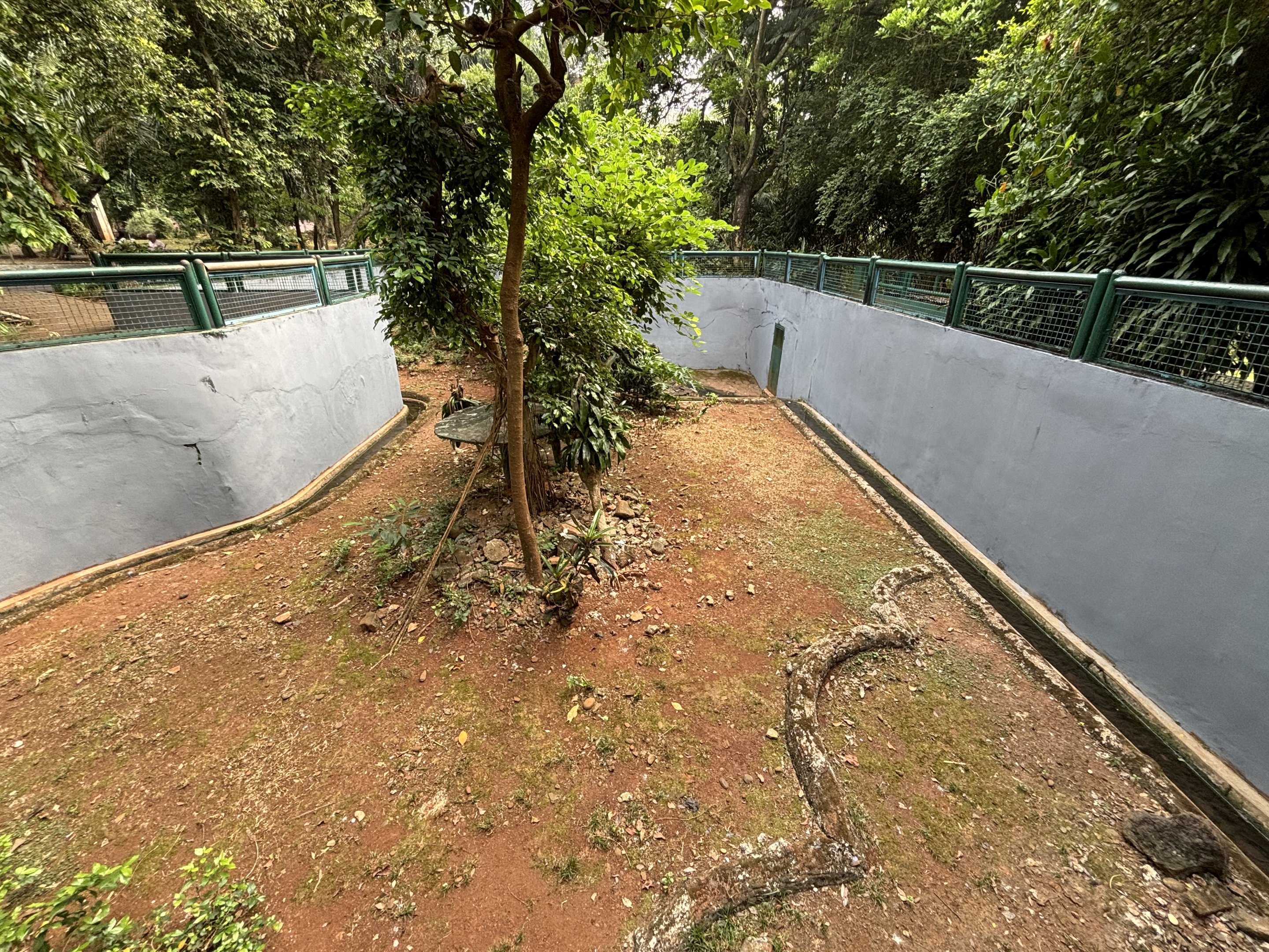 Snake Pit Enclosure