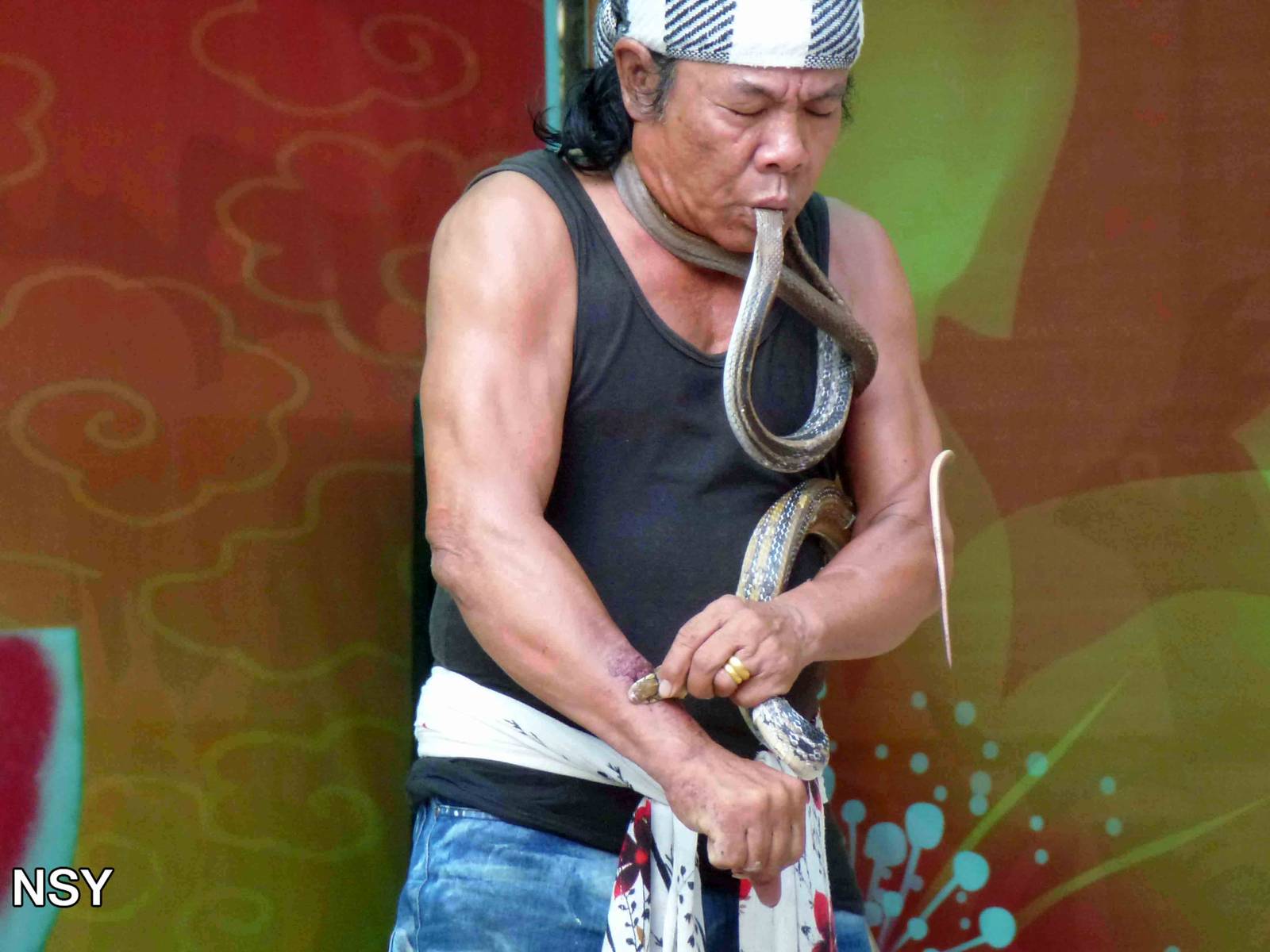 Snake show, May 2013.