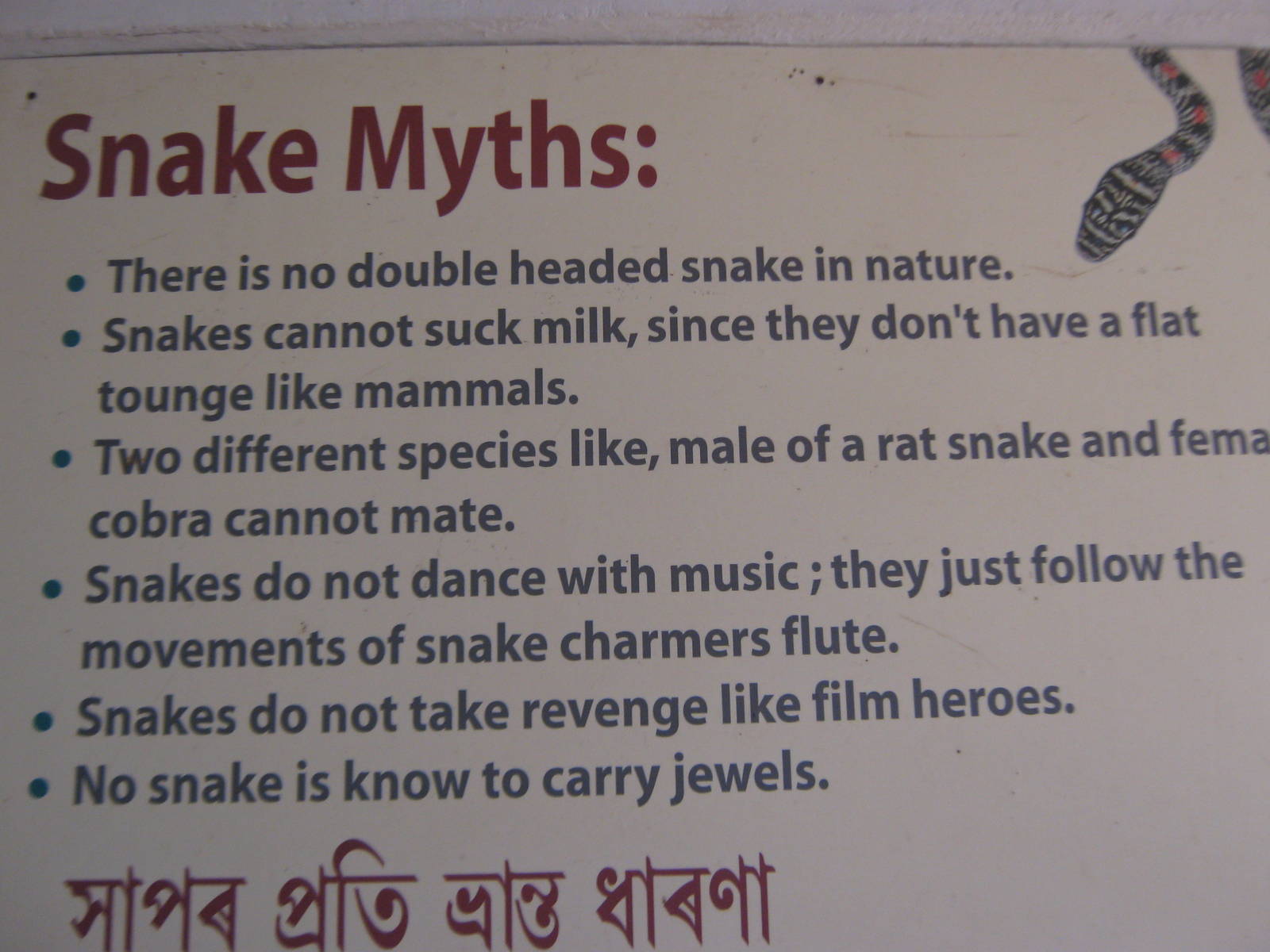 snake signage in the Reptile House