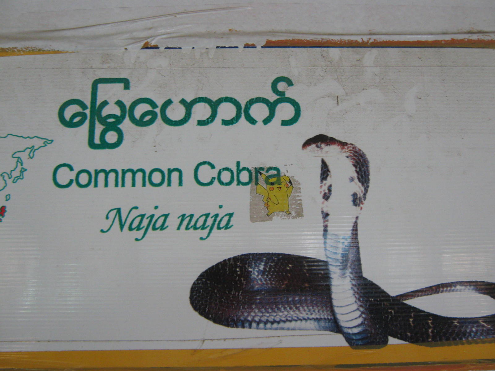 snake signage