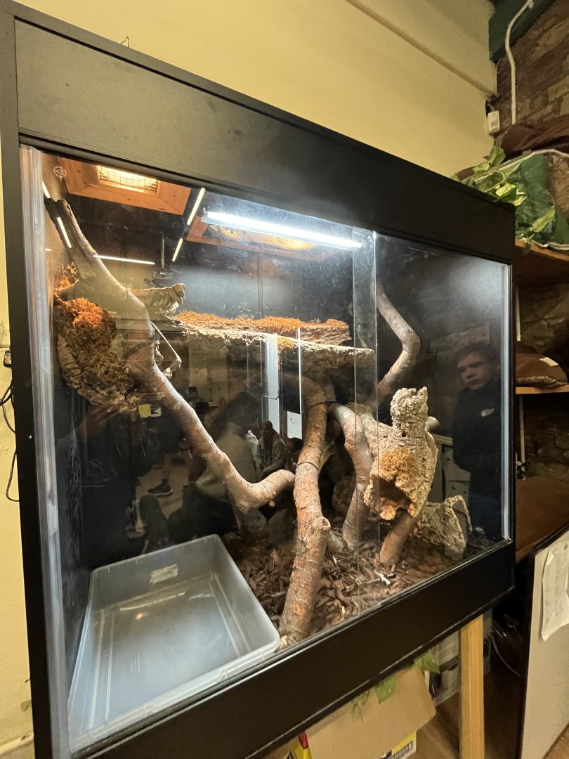 Snake tank in education centre 16.7.24