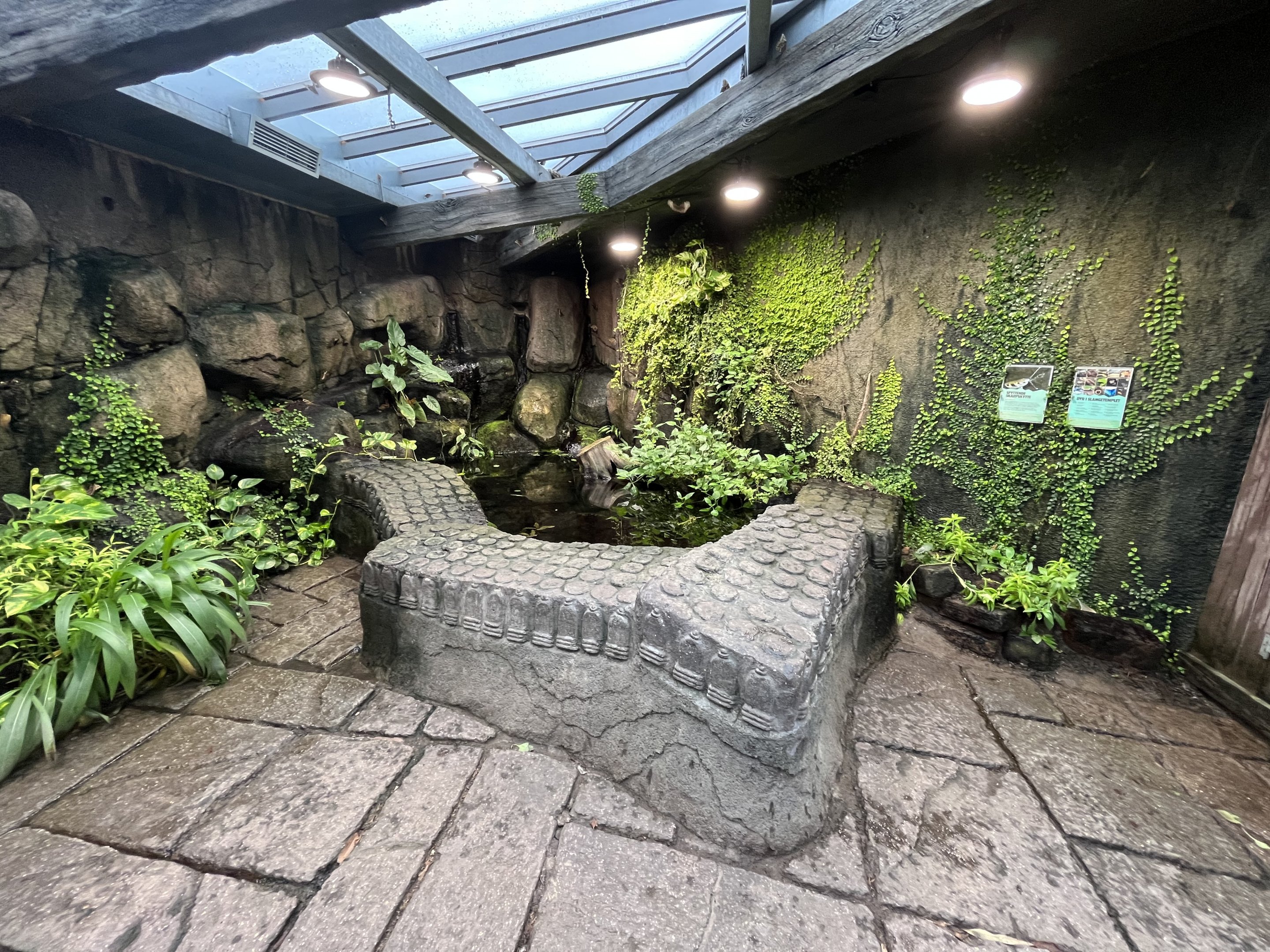 Snake Temple - open-topped Archerfish tank