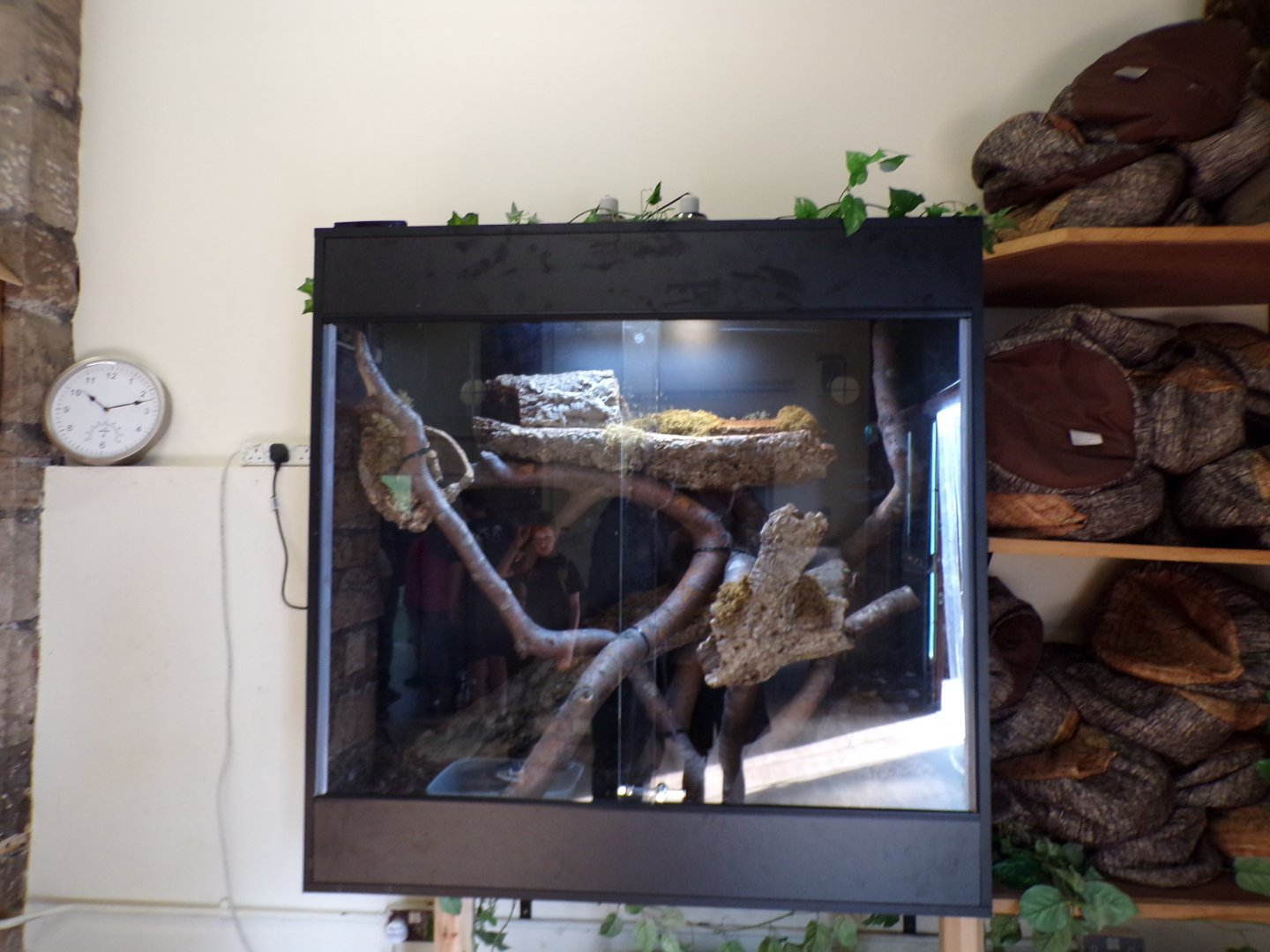 Snake terrarium in education centre 9.9.23