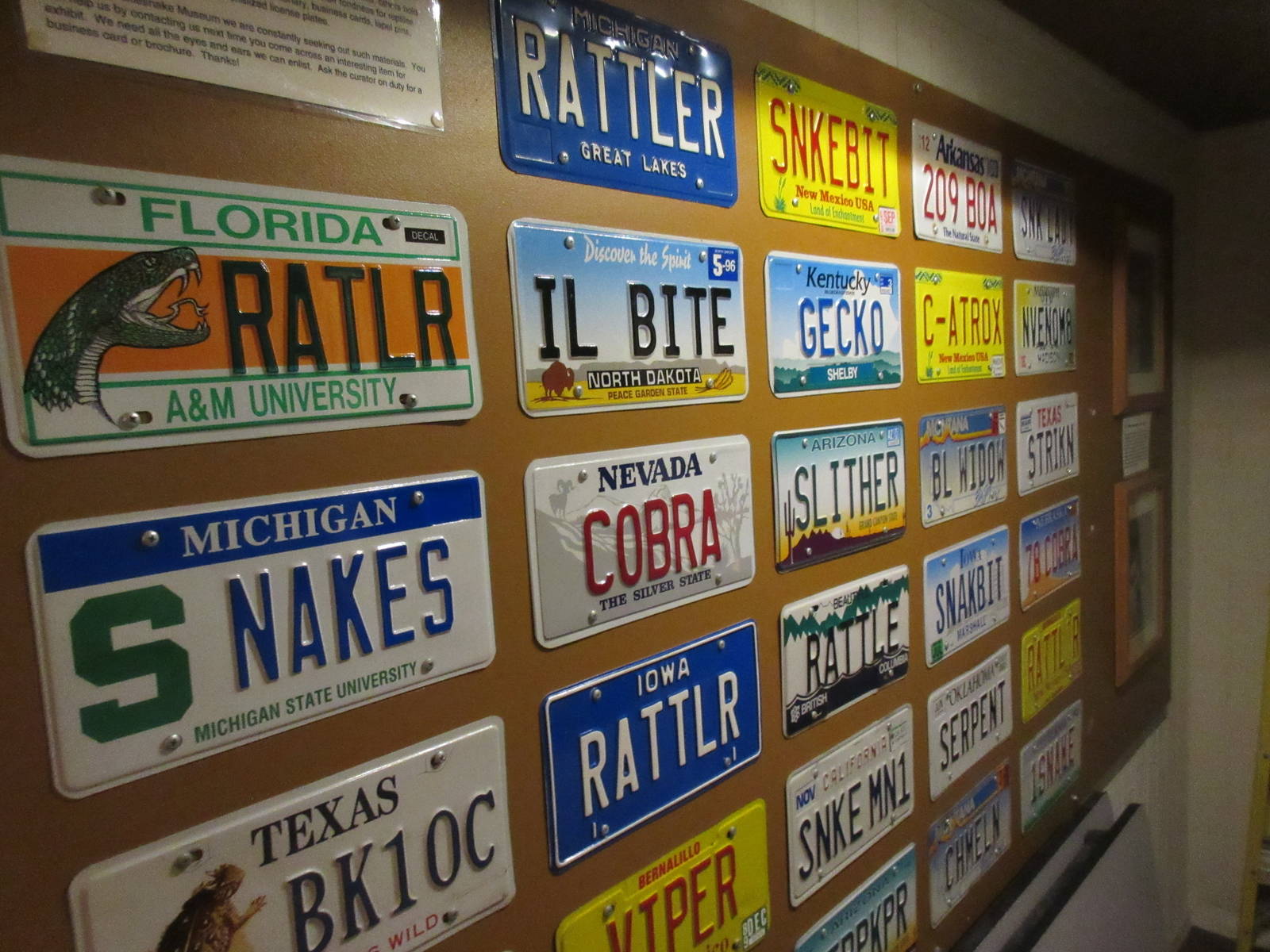 Snake-Themed License Plates