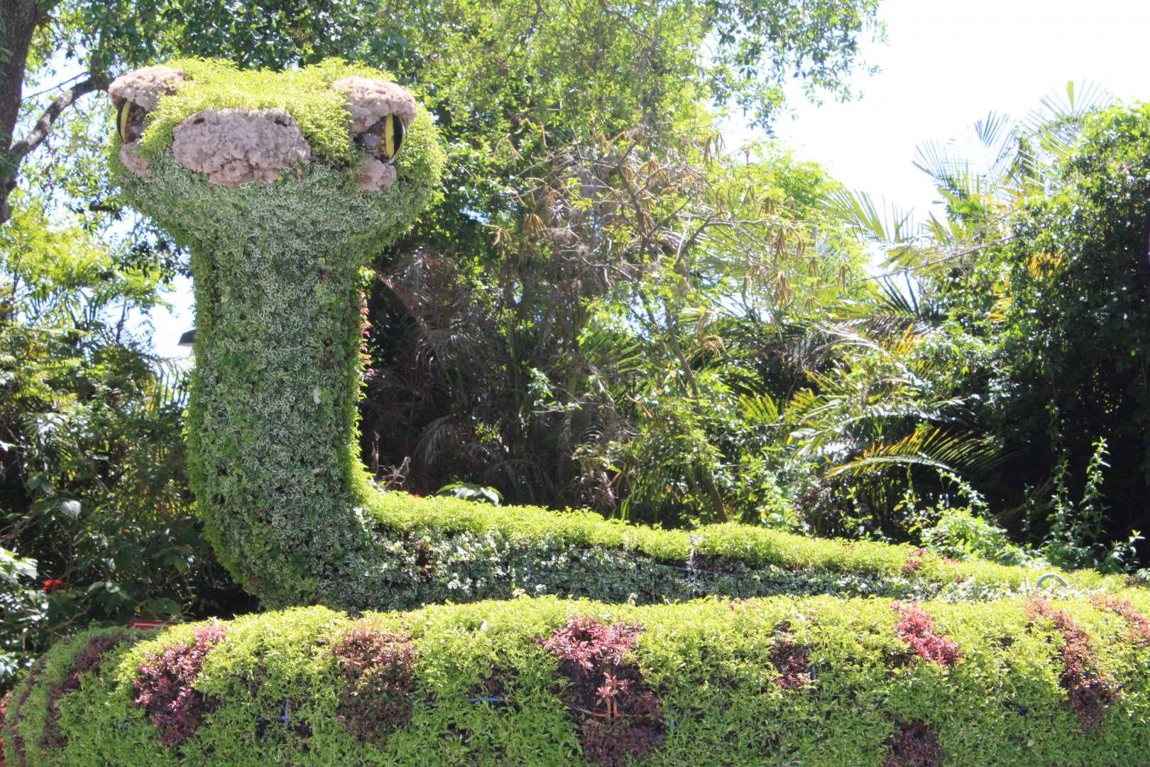 Snake Topiary
